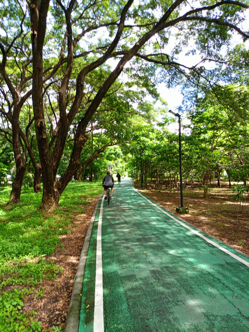 green corridors cycling